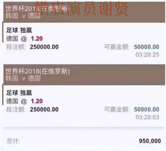 整理世界杯买球平台：从官网直达到使用全流程解析 - 世界杯赛事中心
